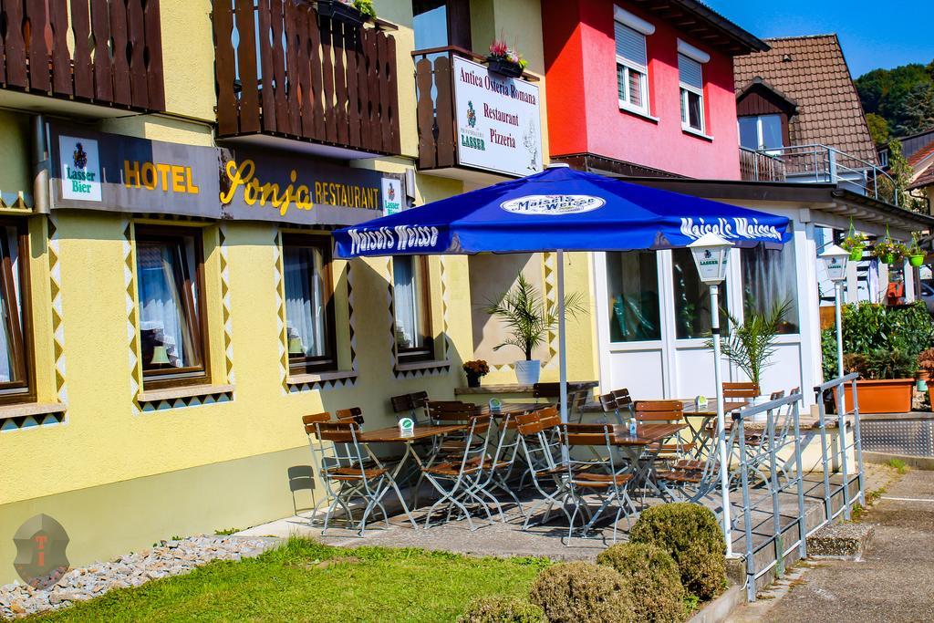 Hotel Sonja Bad Bellingen Esterno foto